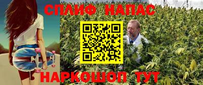 МДПВ Заводоуковск