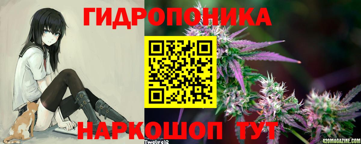 Шишки марихуана семена Бирск